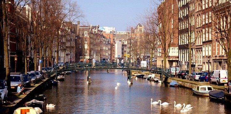 spring in amsterdam