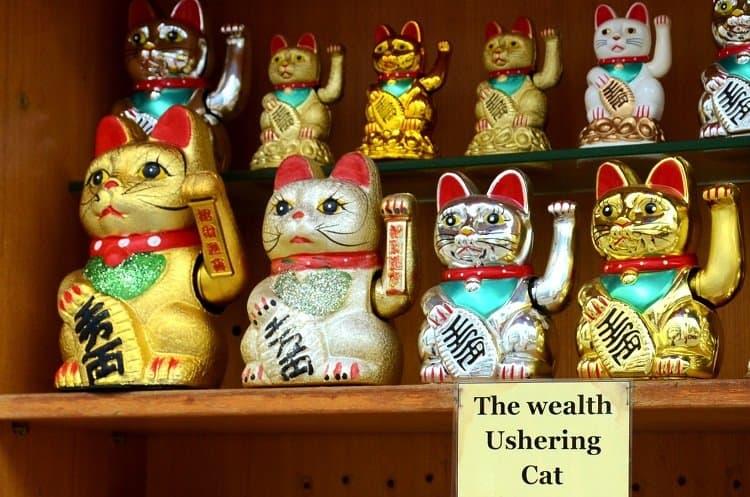 wealth ushering cat