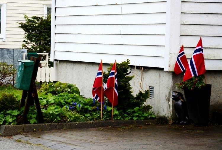 Norwegian flags constitution day