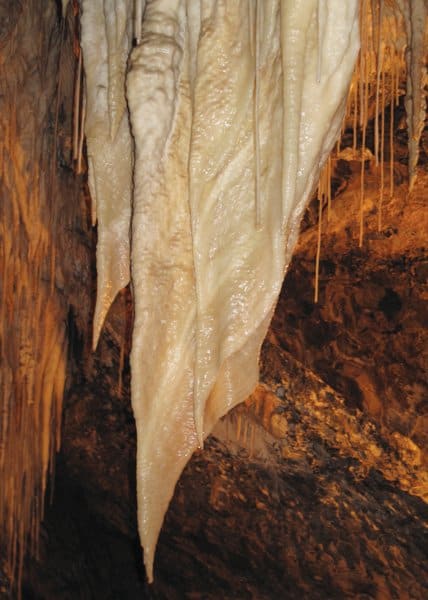 Tasmania stalactite