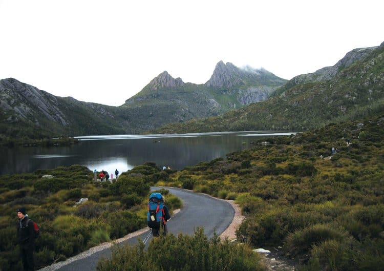 cradle mountain national park