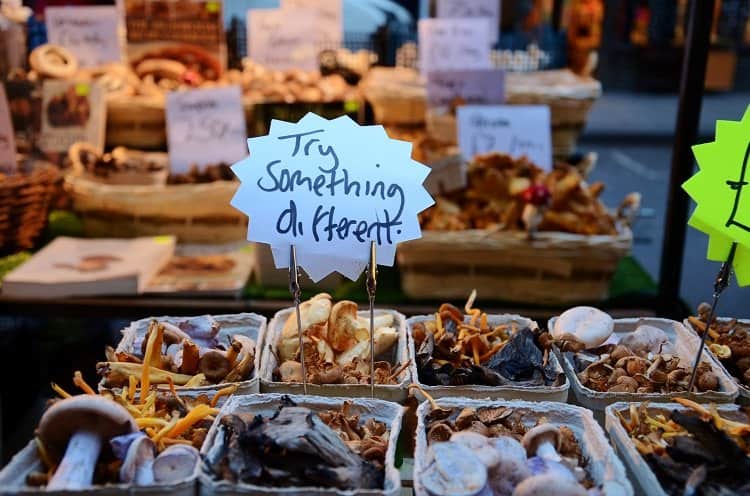 portobello road mushrooms