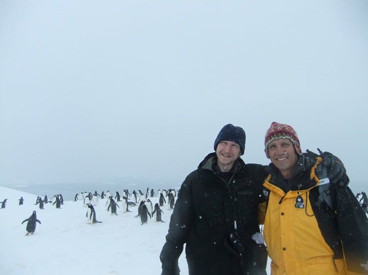 penguins antarctica neko harbour