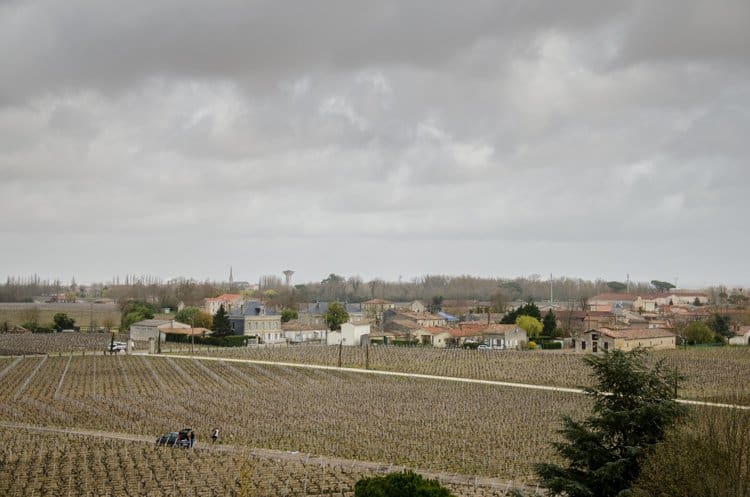 medoc wine region