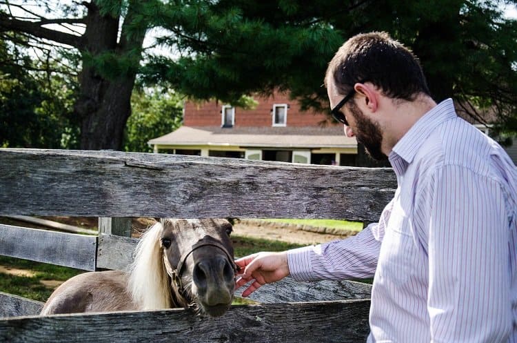 john horse new jersey