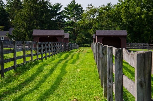 new jersey farm