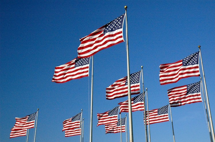 usa flags